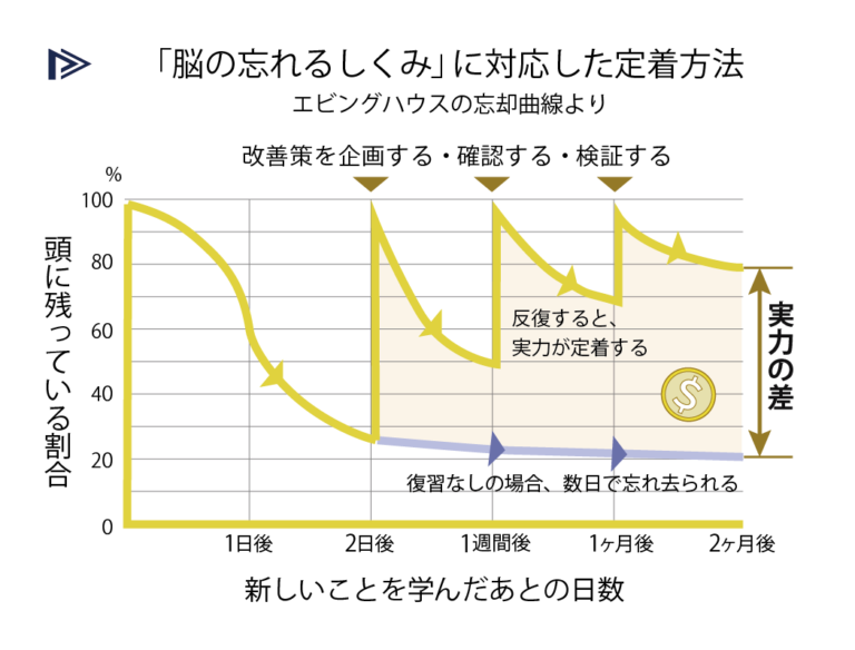 エビングハウスの忘却曲線から考える日報クラブの優位性